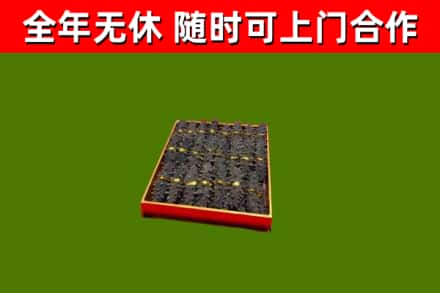 新城回收海参